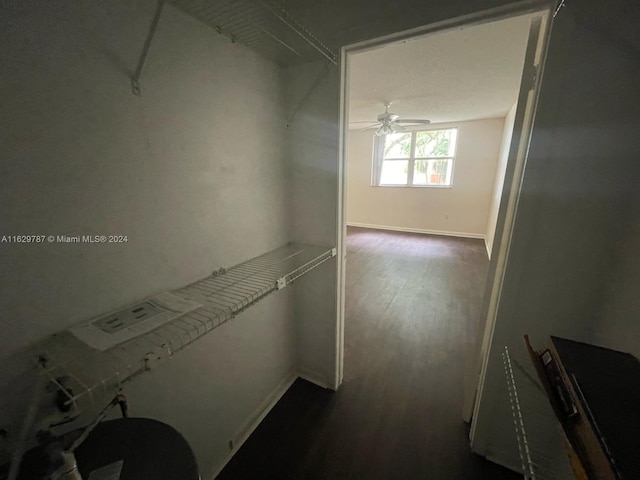 spacious closet featuring ceiling fan and wood-type flooring