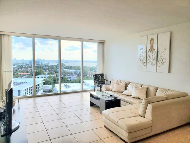 tiled living room featuring a wealth of natural light