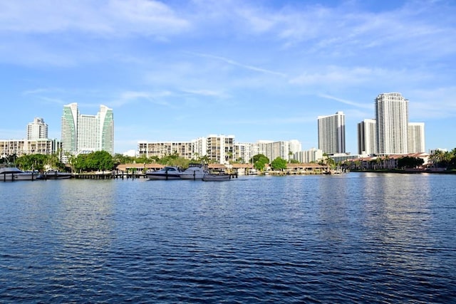 view of water feature