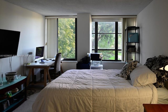 bedroom with carpet flooring