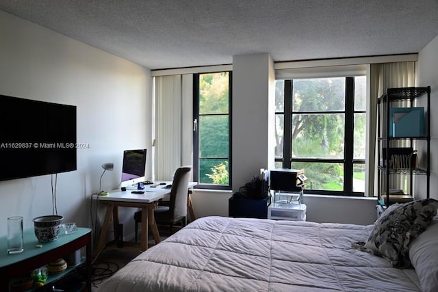 bedroom featuring multiple windows and a textured ceiling