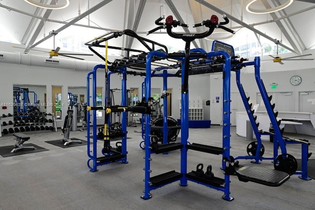 workout area featuring a wealth of natural light and high vaulted ceiling