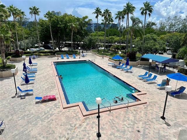 view of swimming pool featuring a patio area