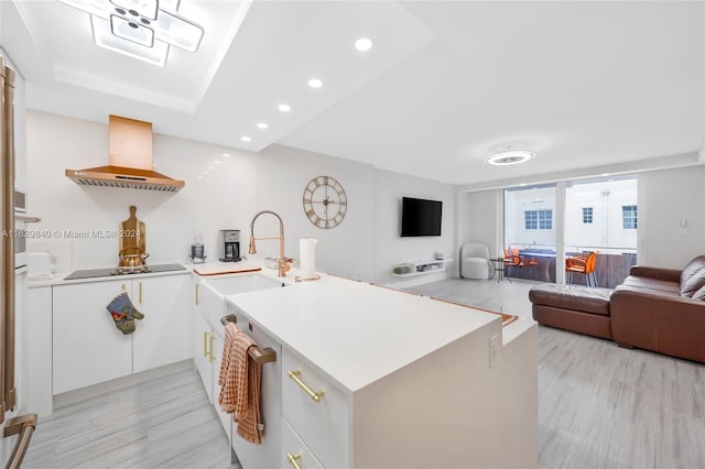 kitchen with sink, light hardwood / wood-style floors, stainless steel dishwasher, range hood, and black electric stovetop