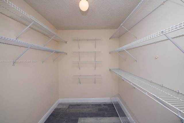 walk in closet with hardwood / wood-style floors