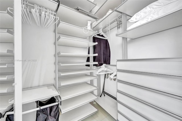 view of walk in closet