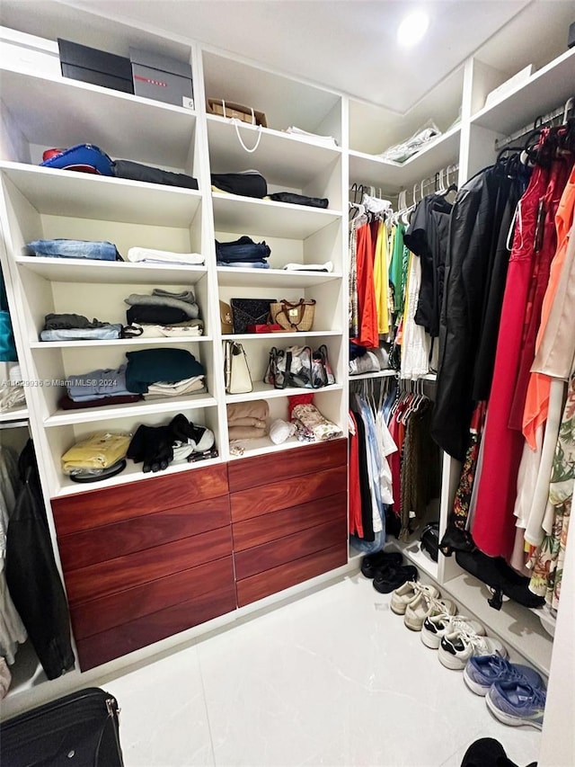 view of spacious closet