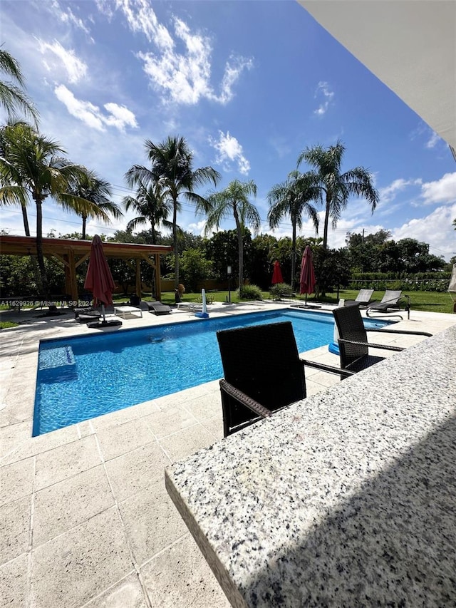 view of swimming pool featuring a patio area