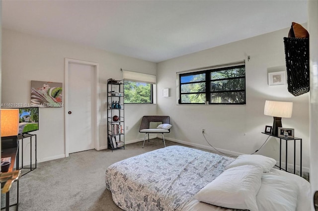 view of carpeted bedroom