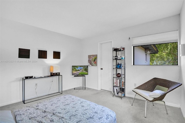 bedroom featuring light carpet