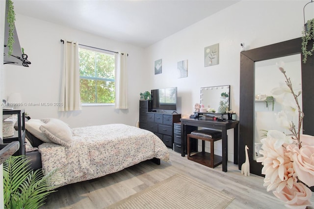 bedroom featuring light hardwood / wood-style flooring