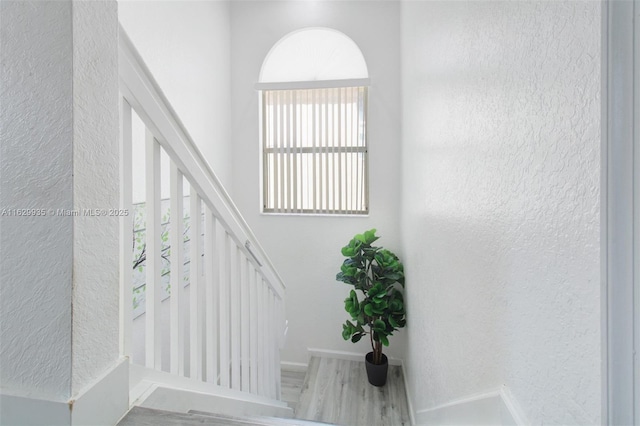 3911 NE 13th Dr, Homestead, FL 33033 - photo 12