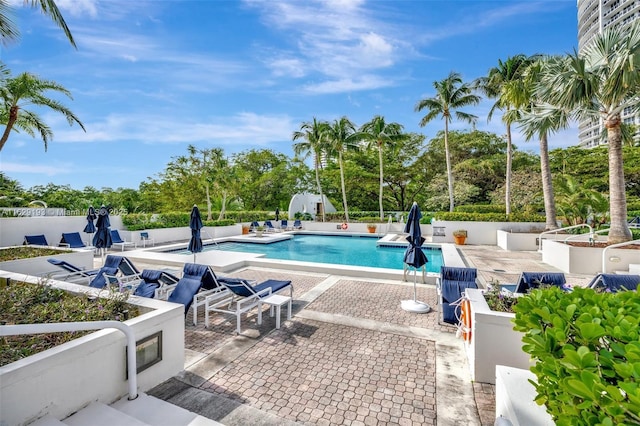 view of swimming pool with a patio area