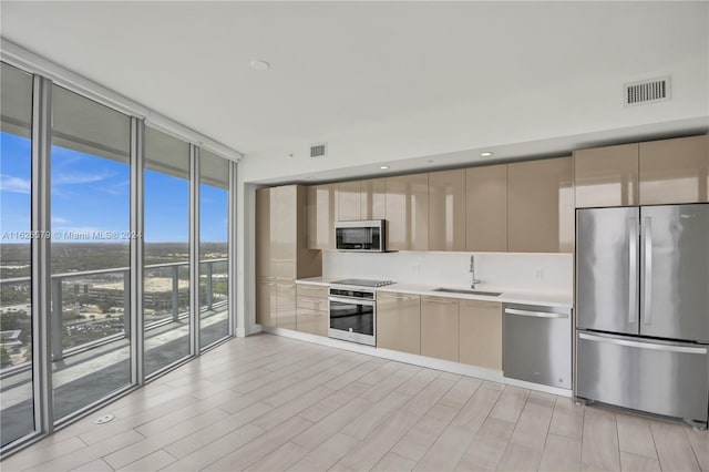 kitchen featuring stainless steel appliances, expansive windows, light hardwood / wood-style flooring, and sink