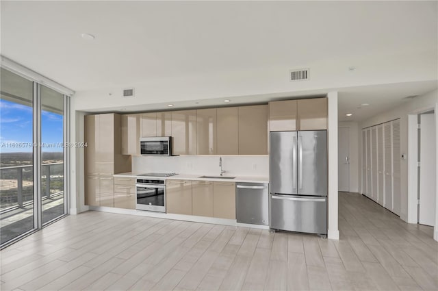 kitchen with a wall of windows, light hardwood / wood-style flooring, appliances with stainless steel finishes, and sink