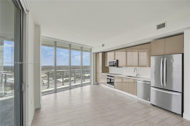 kitchen featuring sink, appliances with stainless steel finishes, expansive windows, and backsplash