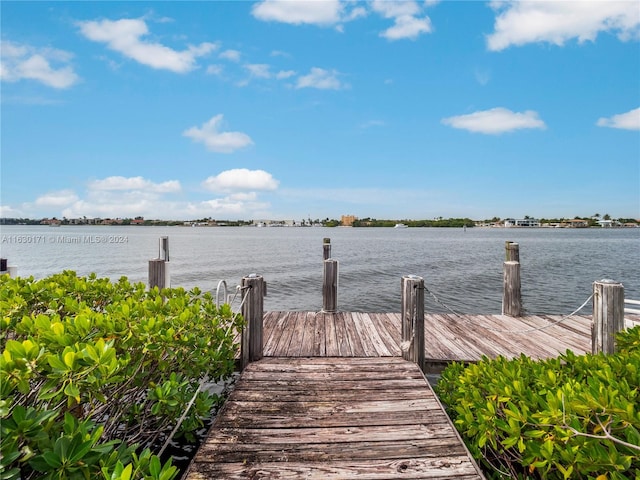 dock area with a water view