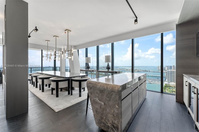 kitchen with hanging light fixtures, a healthy amount of sunlight, dark hardwood / wood-style floors, and a chandelier