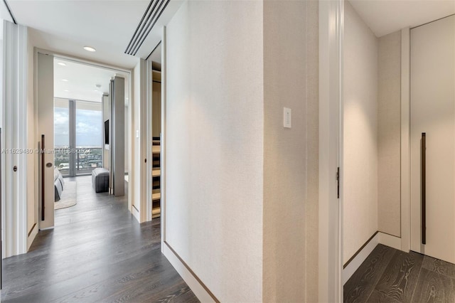 corridor with hardwood / wood-style floors and expansive windows