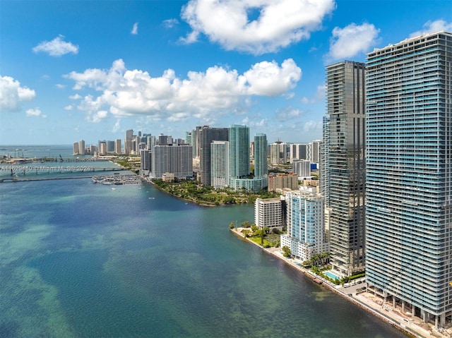 788 NE 23rd St Unit 4601, Miami, FL 33137 - water view featuring a view of skyline
