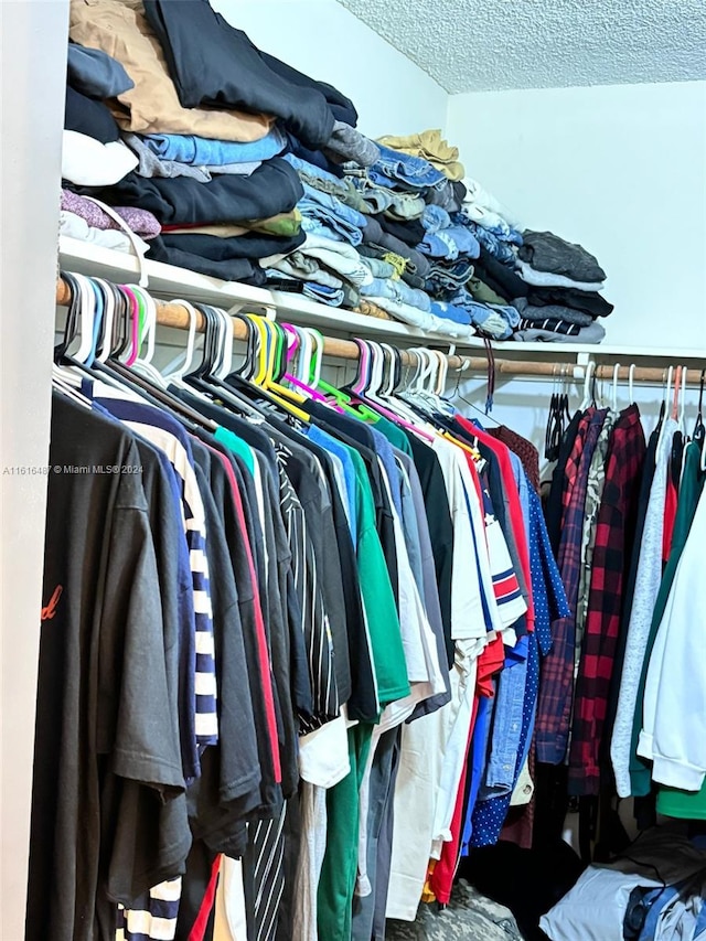 view of spacious closet