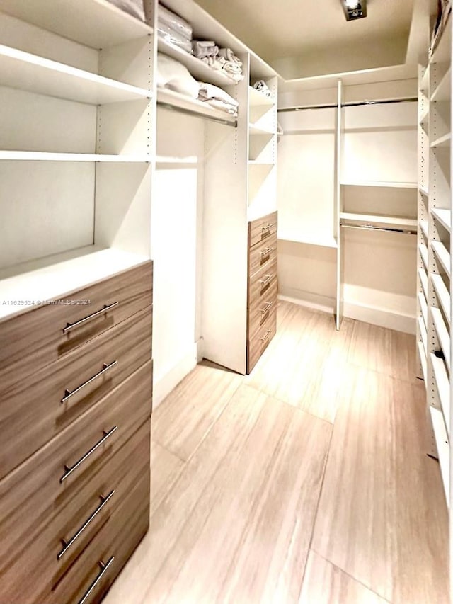 spacious closet featuring wood-type flooring