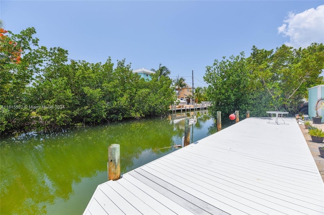 dock area with a water view