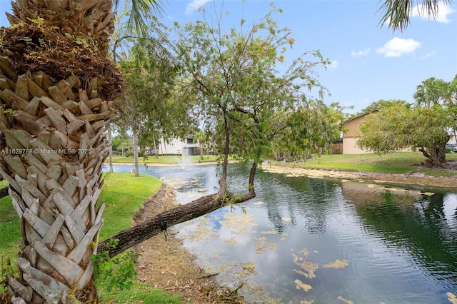 view of water feature