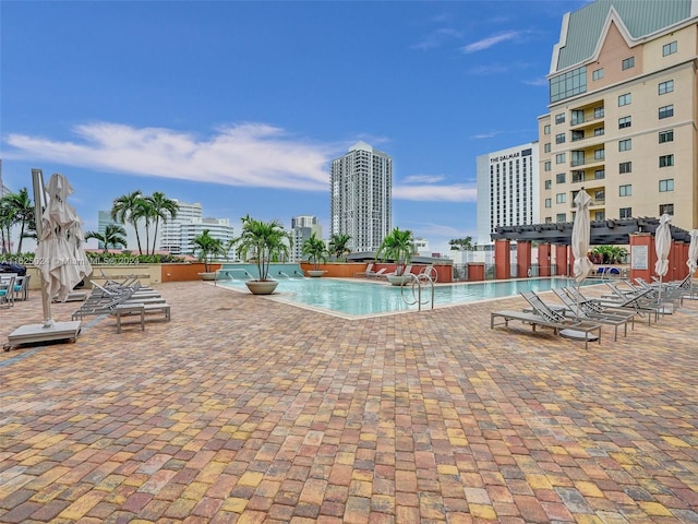 view of swimming pool with a patio