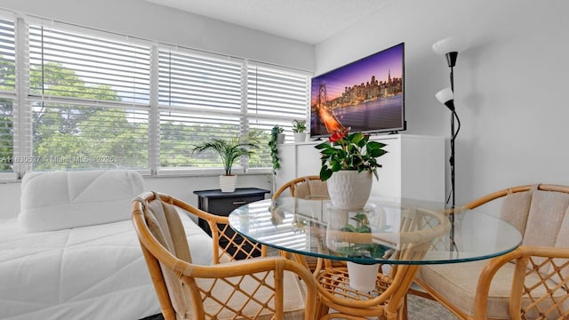 dining room featuring a textured ceiling