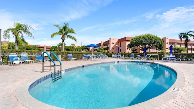 view of pool featuring a patio area