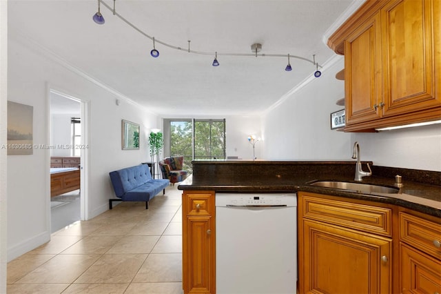 kitchen featuring rail lighting, white dishwasher, ornamental molding, and sink