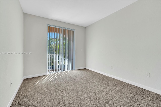 empty room featuring carpet