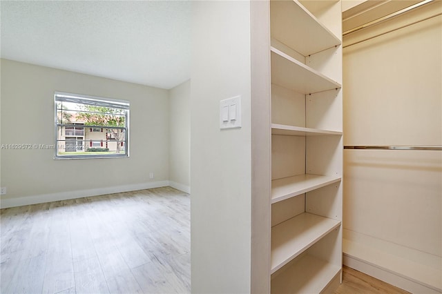 spacious closet featuring light hardwood / wood-style flooring