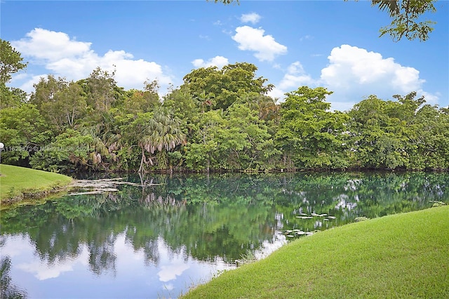 view of water feature