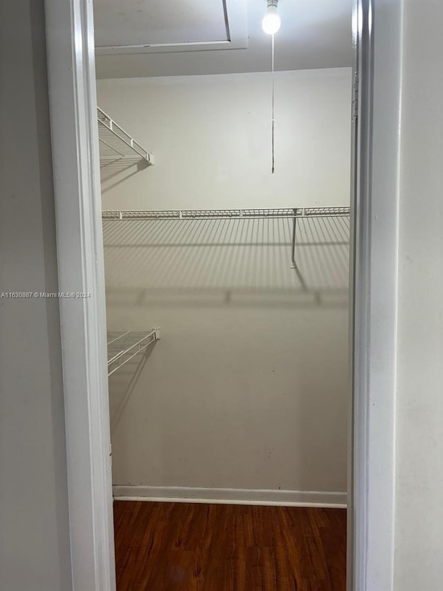 spacious closet featuring dark wood-type flooring