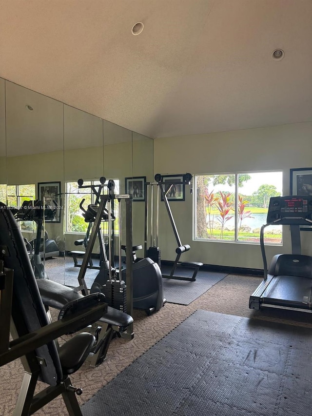 gym with carpet floors and vaulted ceiling