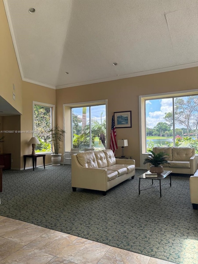 living room featuring ornamental molding, a textured ceiling, and carpet flooring