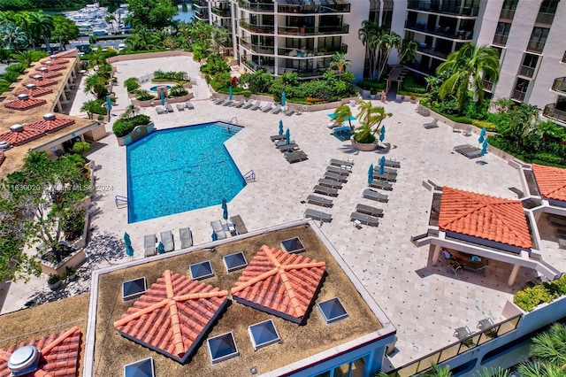 view of swimming pool with a patio