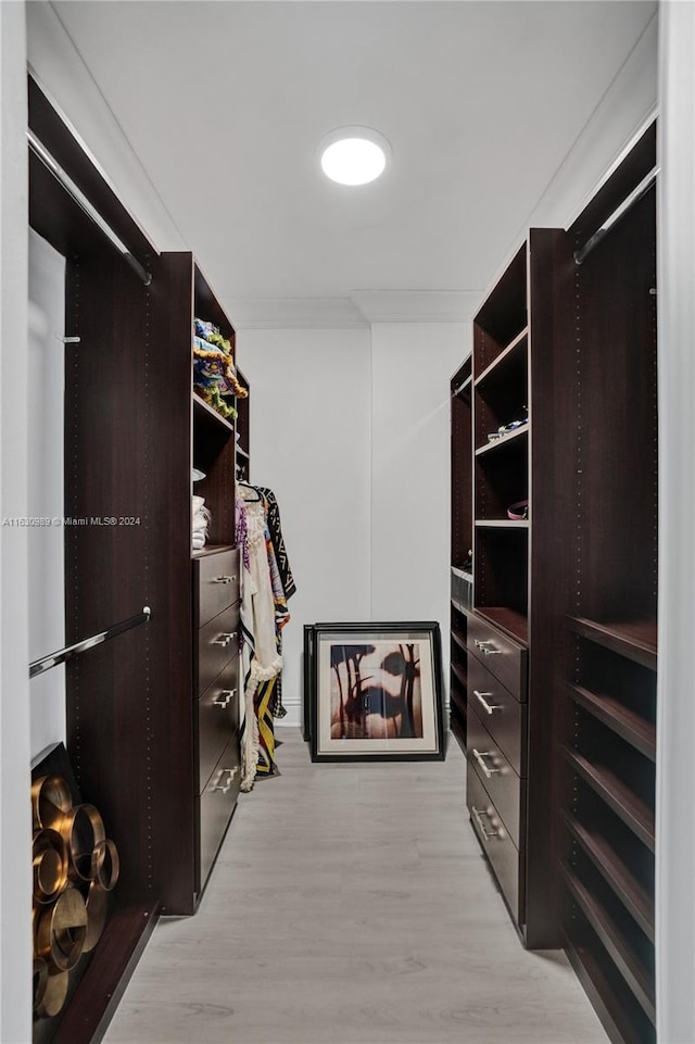 spacious closet featuring light wood-type flooring