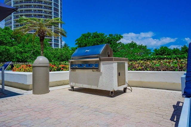 view of patio / terrace featuring area for grilling