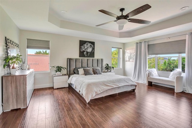 bedroom with a raised ceiling, ceiling fan, and dark hardwood / wood-style floors