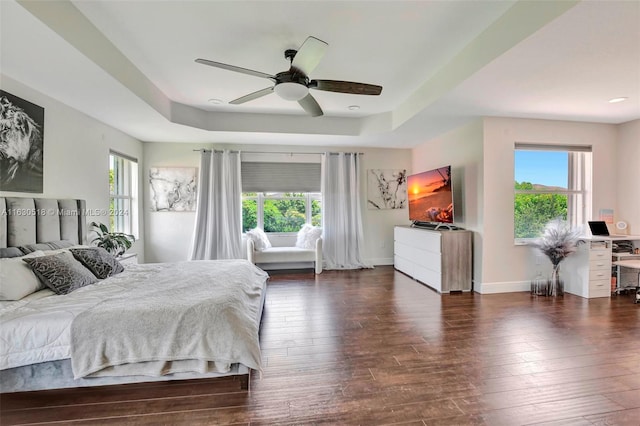 bedroom with a tray ceiling, dark hardwood / wood-style flooring, and multiple windows