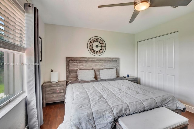 bedroom featuring multiple windows, dark hardwood / wood-style floors, ceiling fan, and a closet