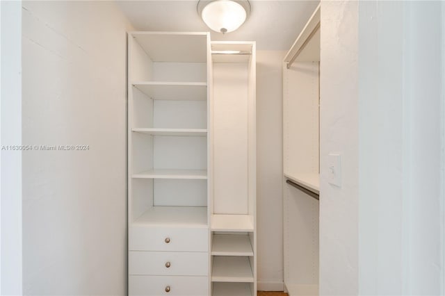 view of walk in closet