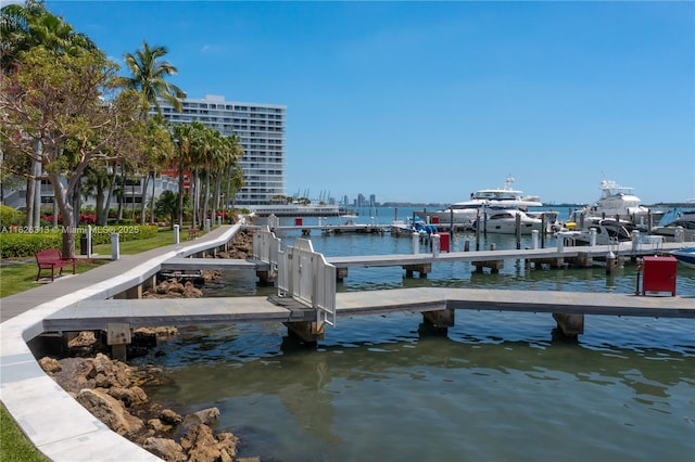 dock area with a water view