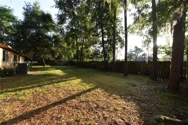 view of yard featuring central air condition unit