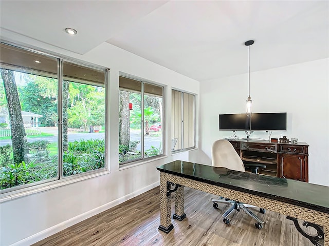 office area featuring hardwood / wood-style flooring