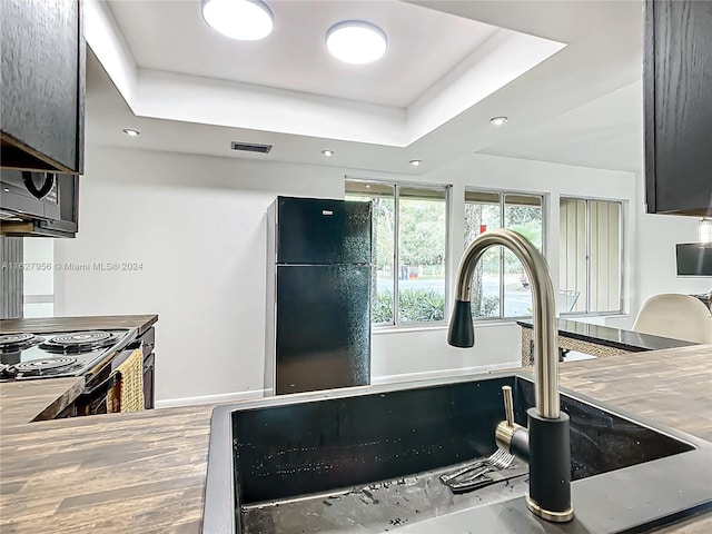 kitchen featuring a raised ceiling, sink, and black refrigerator