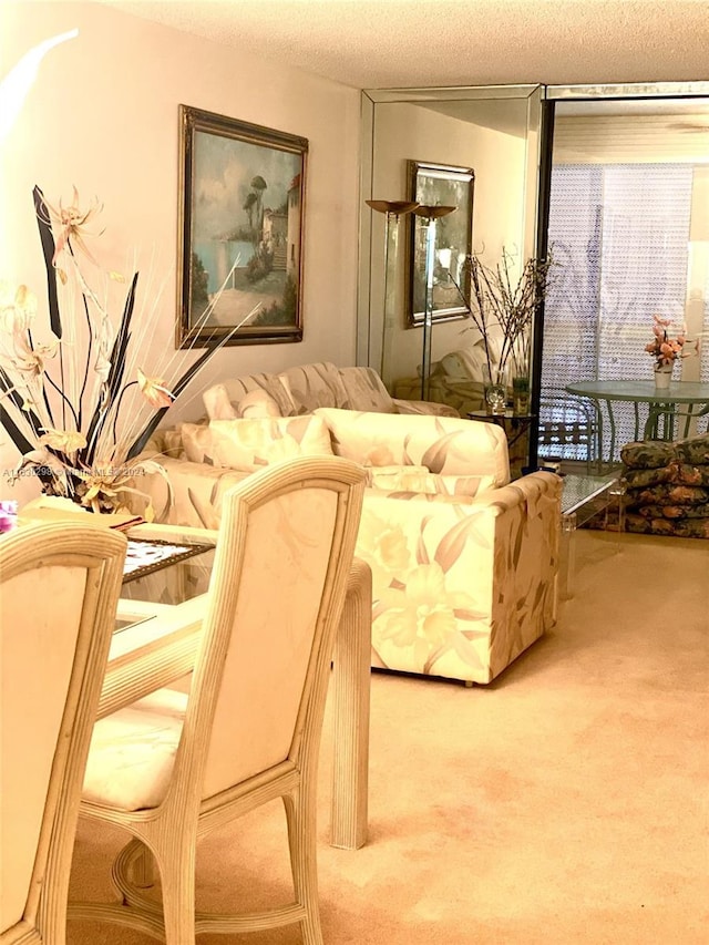 carpeted living room with a textured ceiling